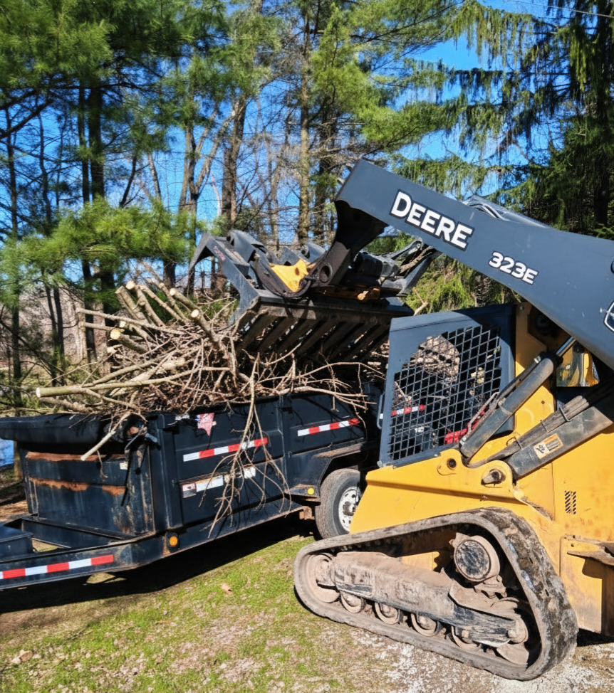 Tree removal